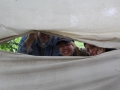 Bild15