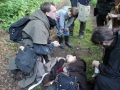 Bild18